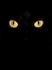kater hangover Hangover Kater